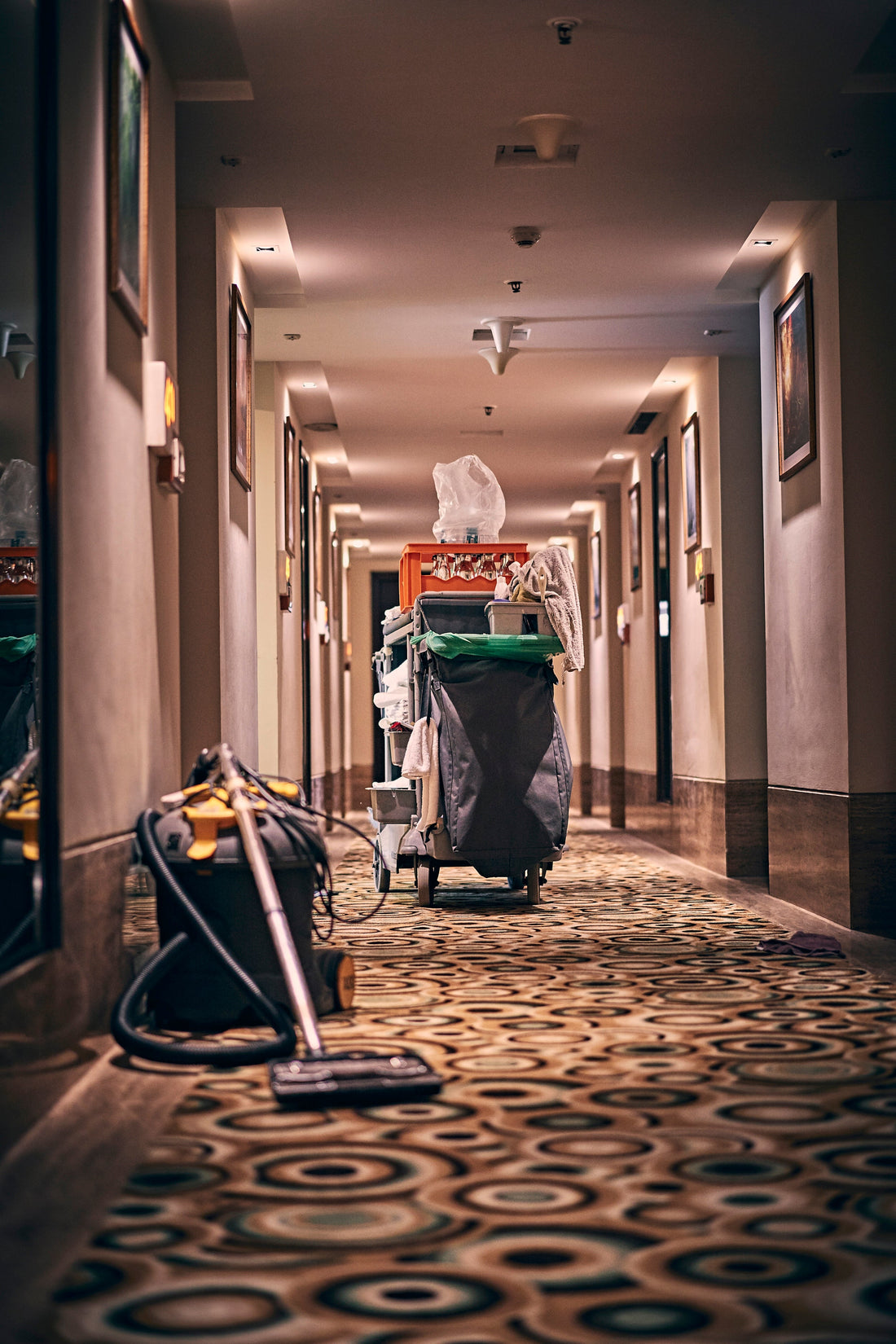 Avoid Odour: Upholstery Cleaning Tricks for Freshness - Izyclean