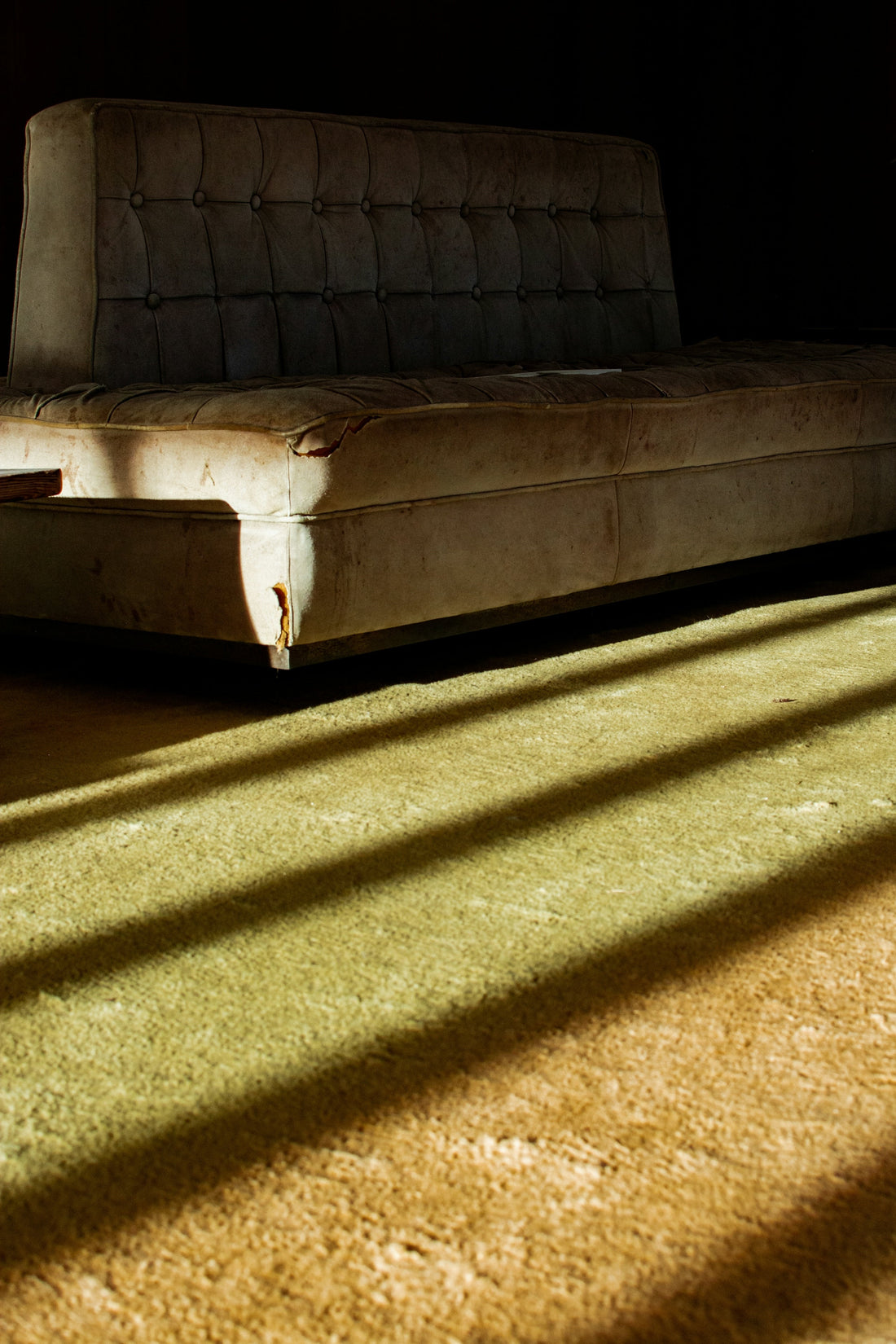Carpet Cleaning Chemicals: What You Need to Know - Izyclean