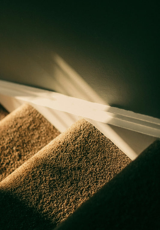 Effective Pet Stain Removal Solutions for Carpets - Izyclean