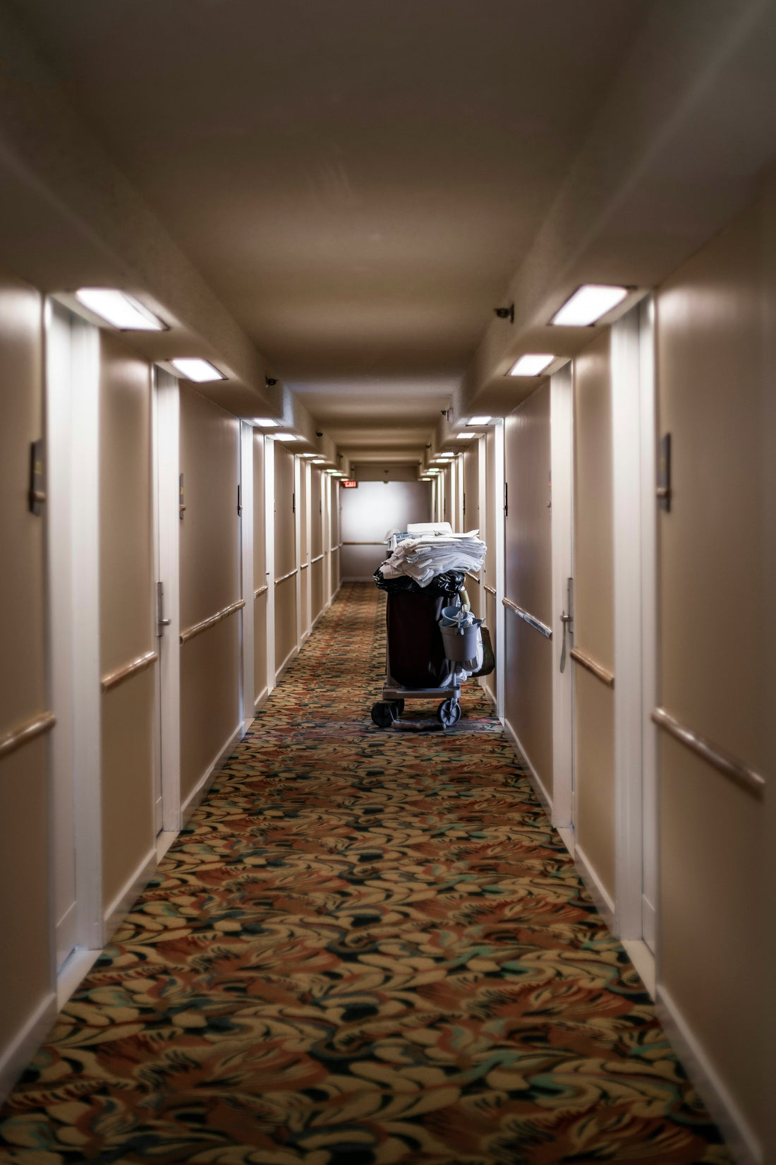 Expert Fabric Cleaning Tips for Allergens - Izyclean