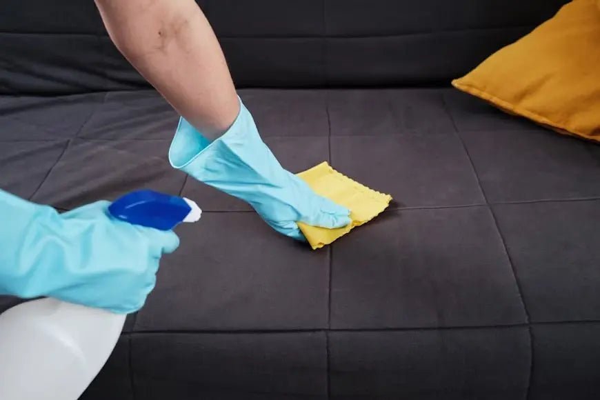 Jak profesionálně odstranit skvrny od moči z koberce? - Izyclean