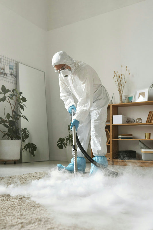 How to Tackle Pet Stains on Your Carpet - Izyclean