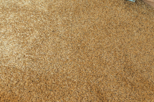Must-Have Upholstery Cleaning Products for Home Use - Izyclean