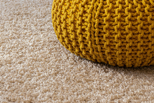 Odor Removal Solution for Cleaner Living Spaces - Izyclean