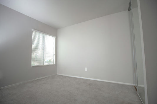 The Impact of Professional Carpet Cleaning on Health - Izyclean
