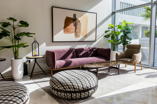 Top Carpet Cleaning Chemicals: What Professionals Use - Izyclean