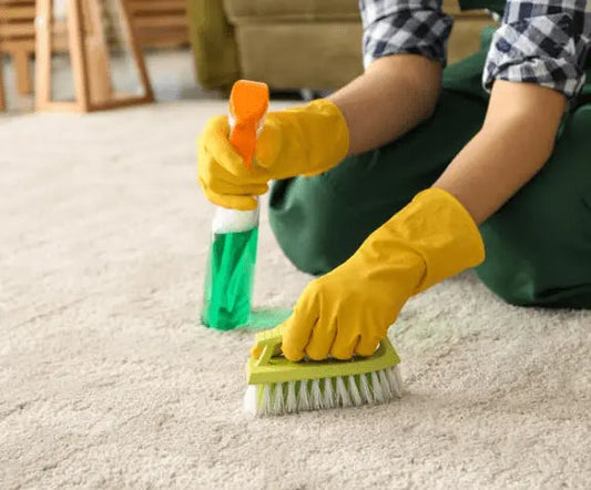 Jaký je nejlepší profesionální sprej na předčištění koberců pro hloubkové čištění koberců? - Izyclean